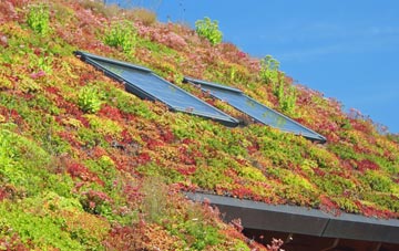 Apperley Dene living roof systems